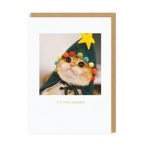 Postal de Navidad Pisco the Cat